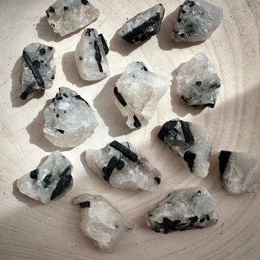 Black Tourmaline in Quartz - GetYourCrystal