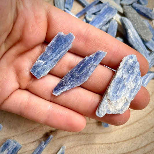 Blue Kyanite Lot - GetYourCrystal