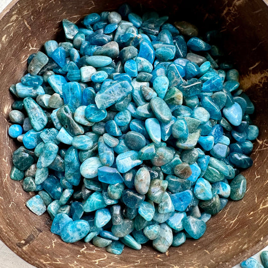 Blue Apatite Small Crystal Lot | Neon Blue Apatite Tumbed Chips | Crystal Confetti | Crystals - GetYourCrystal