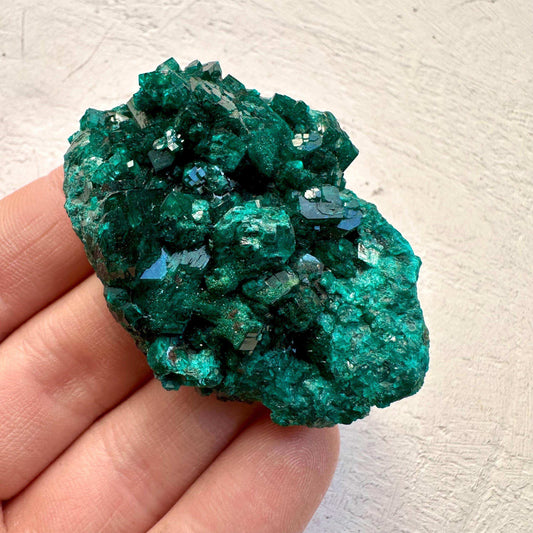 Gemmy Dioptase Specimen from Congo - GetYourCrystal